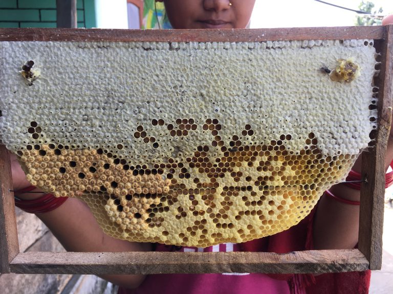 Organic Beekeeping